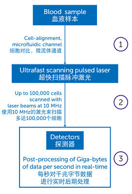 TIM截图20181018153524.png